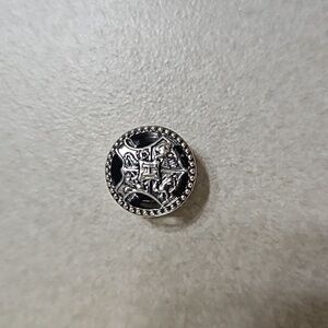 Pandora charm/Harry Potter